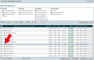 8 - Market Samurai - Keywords Analysis Results